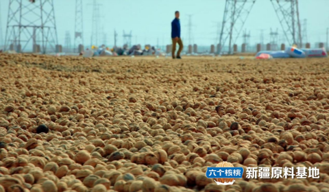 70netÓÀÀָߡ¤(ÖйúÓÎ)ÓÐÏÞ¹«Ë¾¹ÙÍø