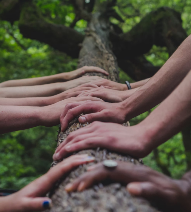 70net���ָߡ�(�й���)���޹�˾����