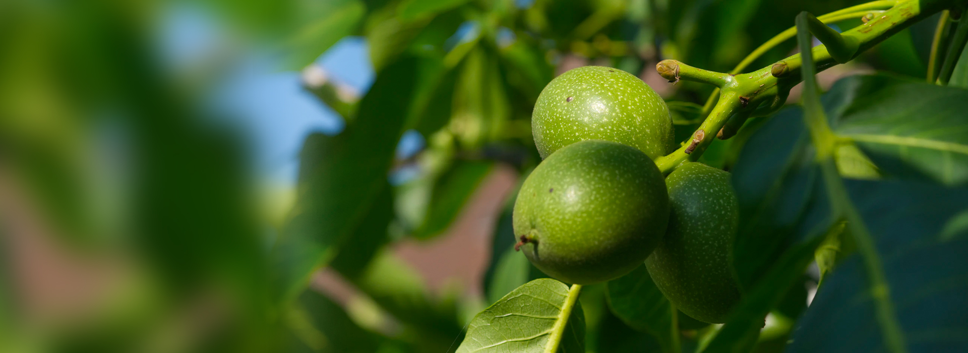 70net���ָߡ�(�й���)���޹�˾����