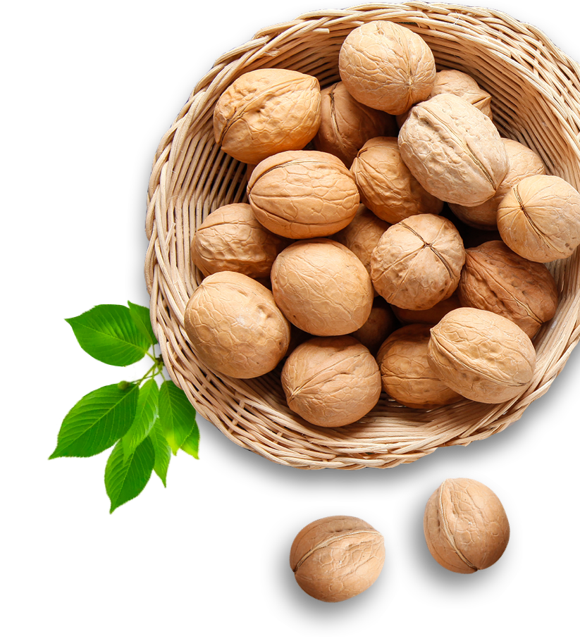 70net���ָߡ�(�й���)���޹�˾����