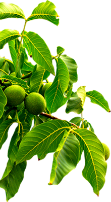 70net���ָߡ�(�й���)���޹�˾����