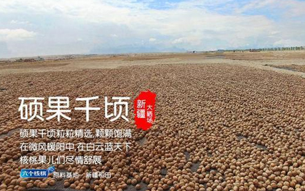 70net���ָߡ�(�й���)���޹�˾����