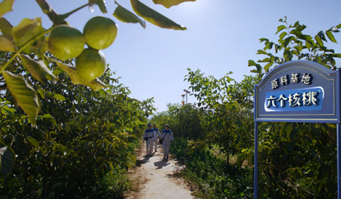 70net���ָߡ�(�й���)���޹�˾����