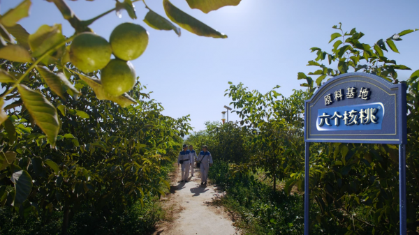 70net���ָߡ�(�й���)���޹�˾����