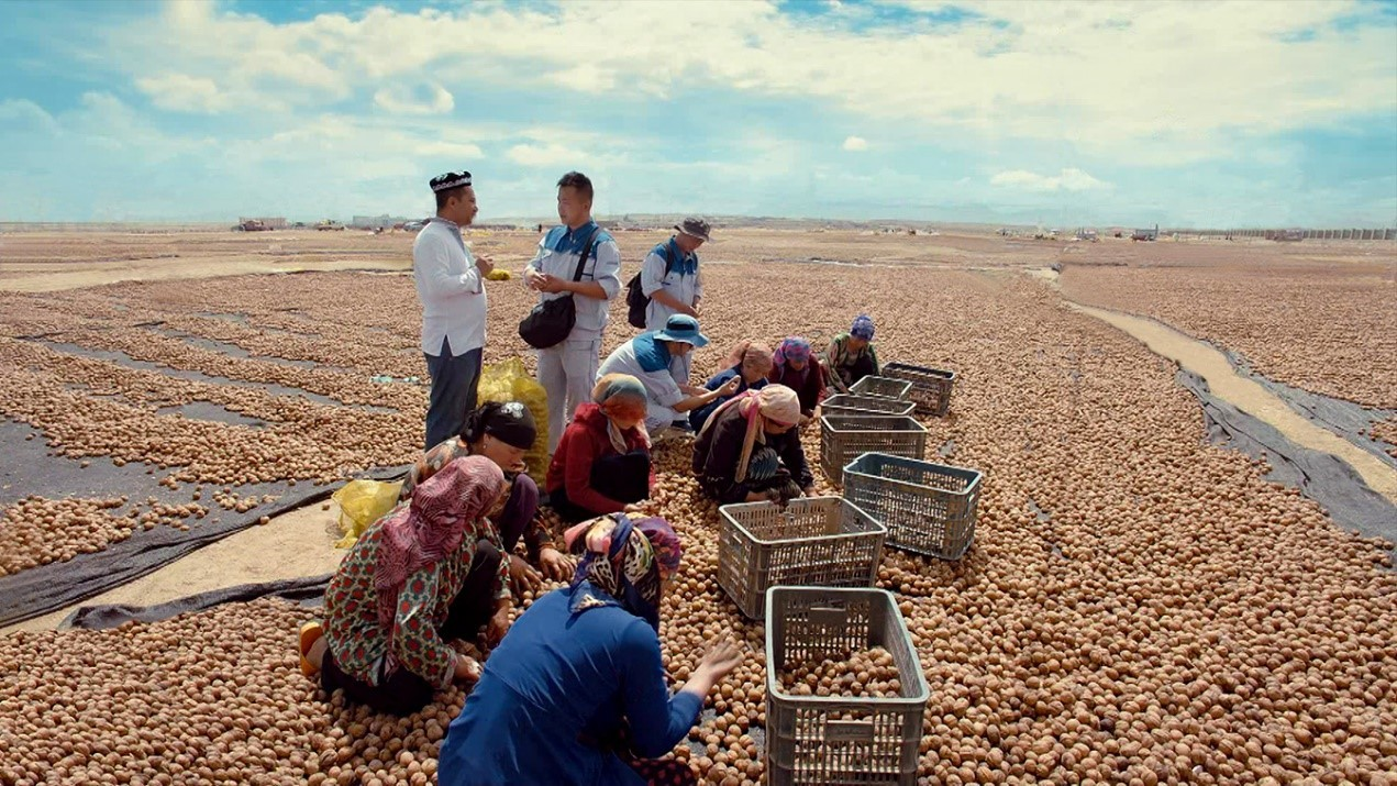 70net���ָߡ�(�й���)���޹�˾����