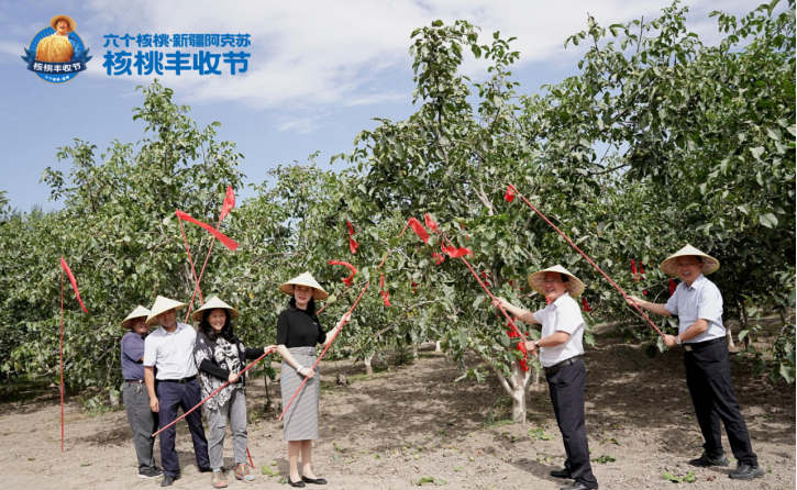 70net���ָߡ�(�й���)���޹�˾����