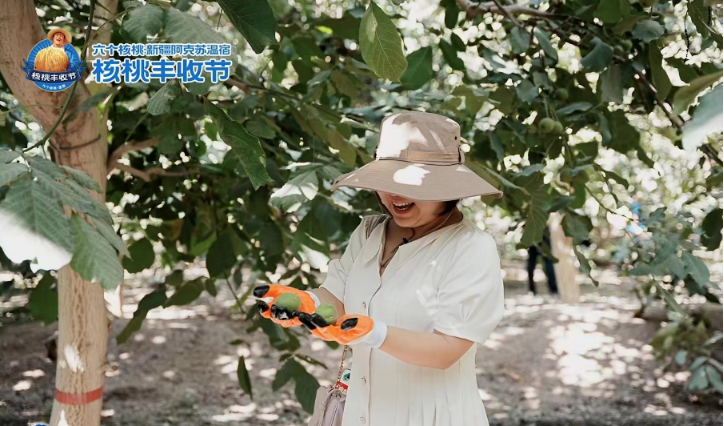 70net���ָߡ�(�й���)���޹�˾����