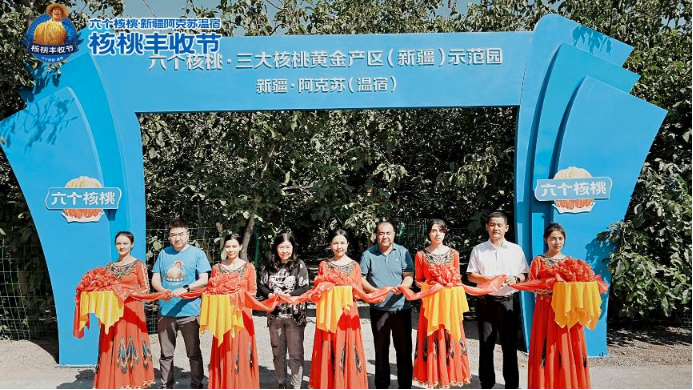 70net���ָߡ�(�й���)���޹�˾����