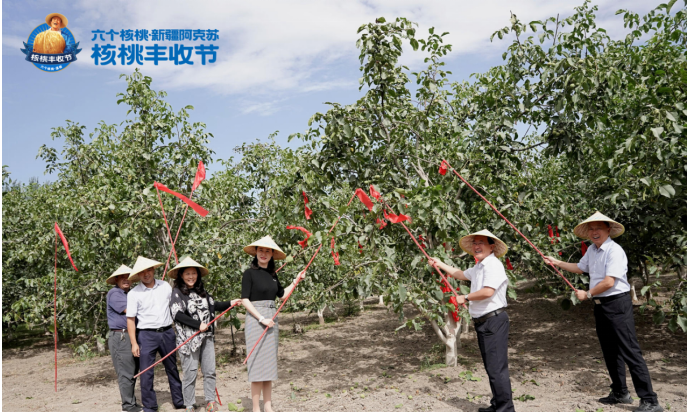 70netÓÀÀָߡ¤(ÖйúÓÎ)ÓÐÏÞ¹«Ë¾¹ÙÍø