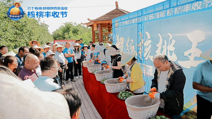 70net���ָߡ�(�й���)���޹�˾����