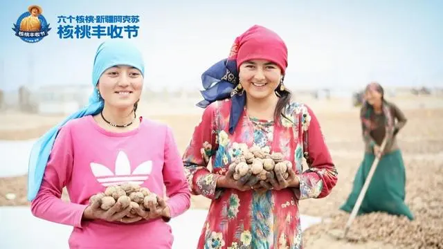 70net永乐高·(中国游)有限公司官网