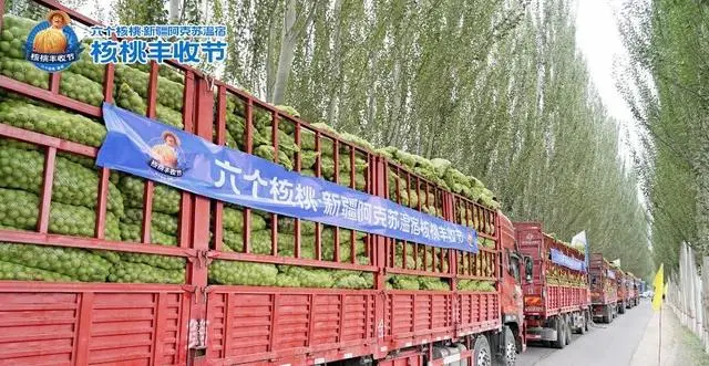 70net永乐高·(中国游)有限公司官网