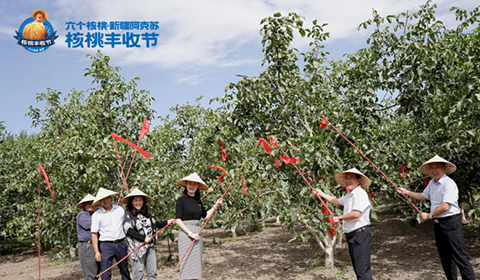 70net���ָߡ�(�й���)���޹�˾����