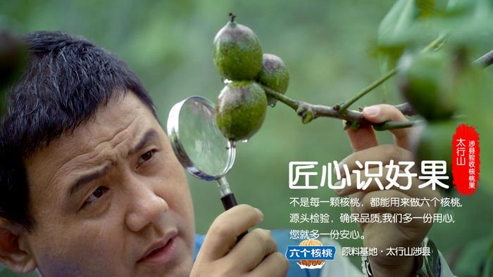 70net���ָߡ�(�й���)���޹�˾����