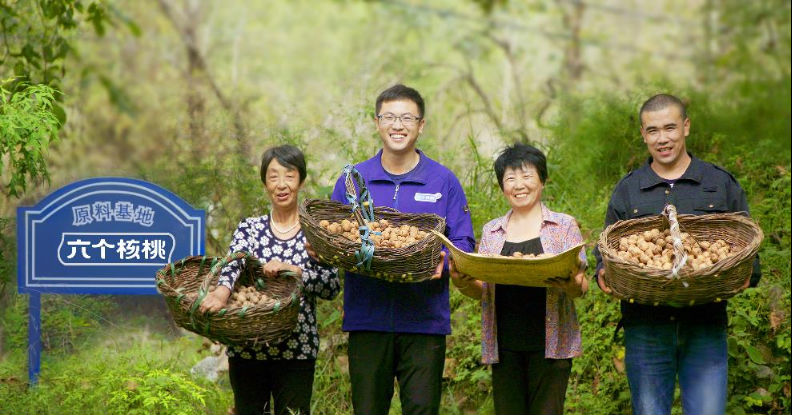 70net���ָߡ�(�й���)���޹�˾����