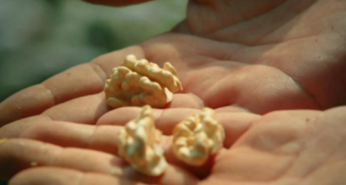 70netÓÀÀָߡ¤(ÖйúÓÎ)ÓÐÏÞ¹«Ë¾¹ÙÍø