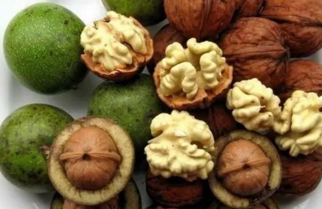 70net���ָߡ�(�й���)���޹�˾����