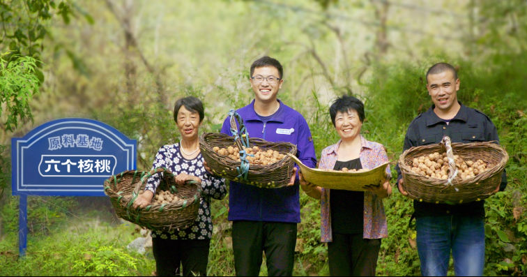 70net���ָߡ�(�й���)���޹�˾����