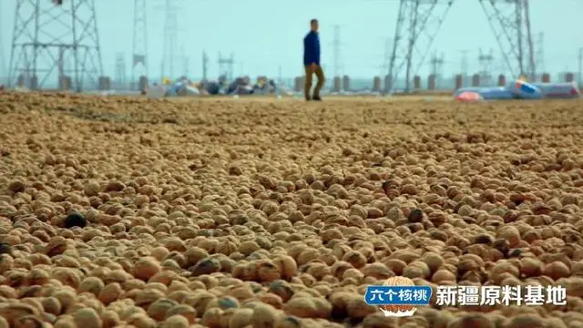 70net���ָߡ�(�й���)���޹�˾����