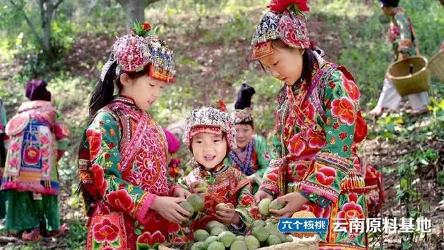 70net���ָߡ�(�й���)���޹�˾����