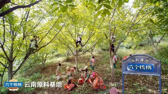 70netÓÀÀָߡ¤(ÖйúÓÎ)ÓÐÏÞ¹«Ë¾¹ÙÍø