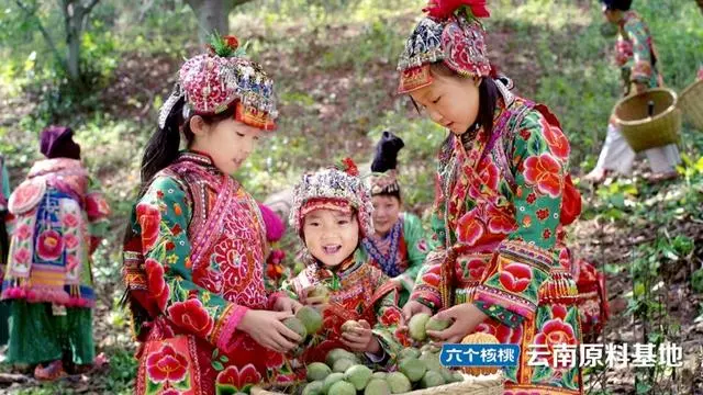 70net���ָߡ�(�й���)���޹�˾����