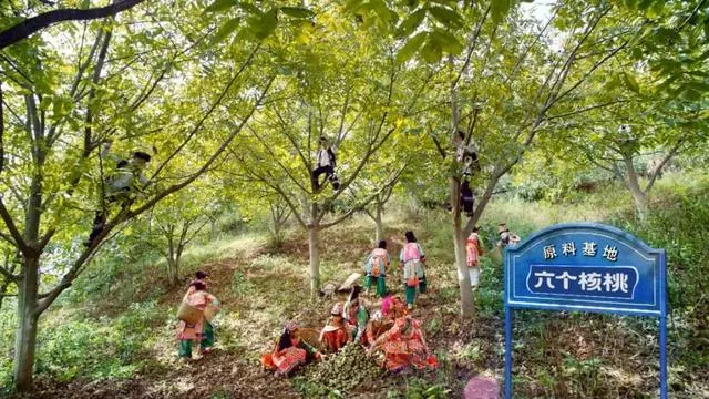 70net���ָߡ�(�й���)���޹�˾����